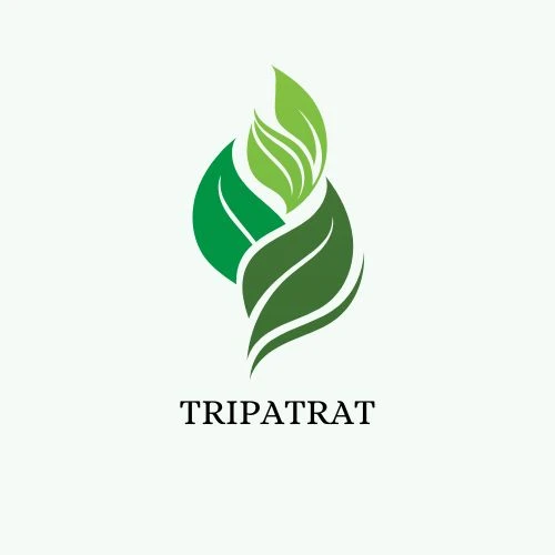 Tripatra